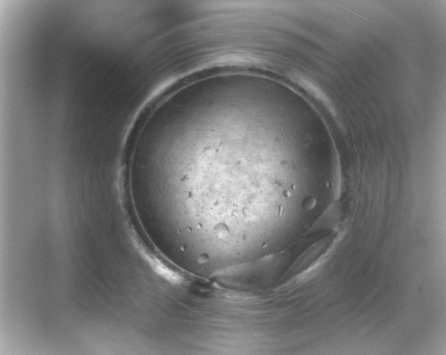 X0000068851029200605051207