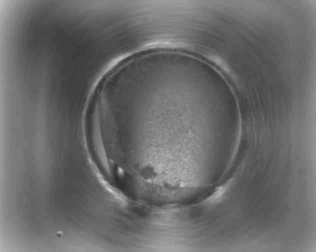 X0000068851030200605051207