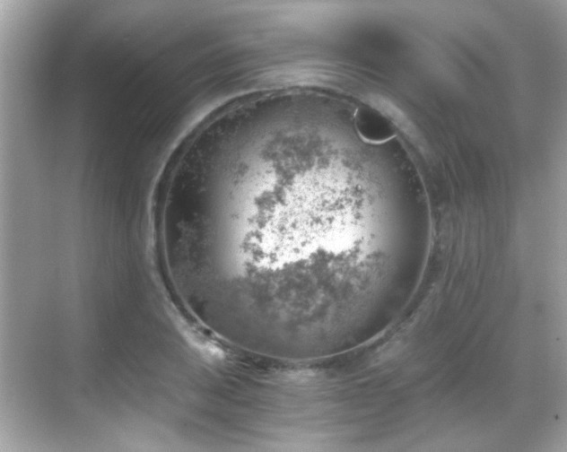 X0000068851031200605051207