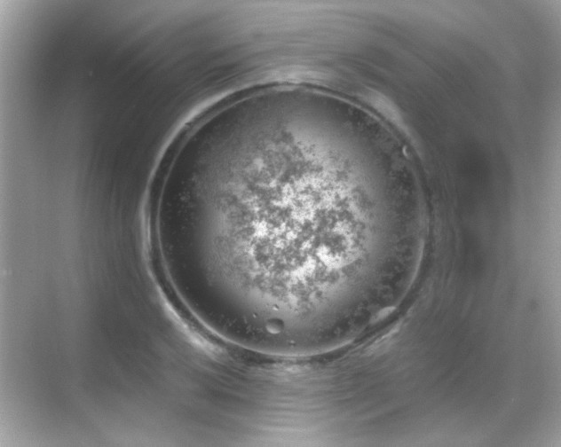 X0000068851032200605051207