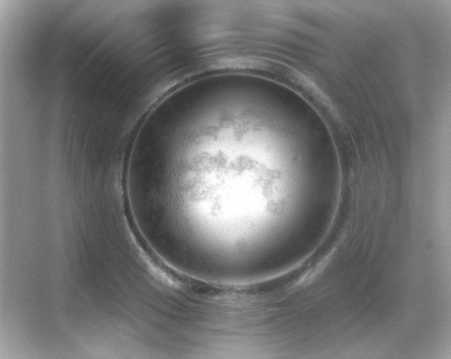 X0000068851033200605051207