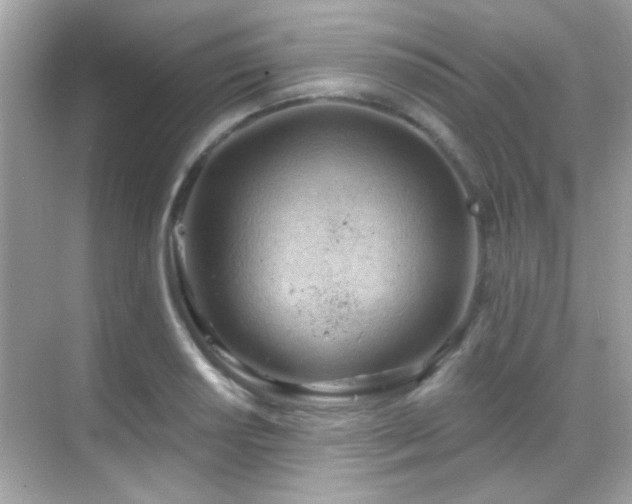 X0000068851034200605051207