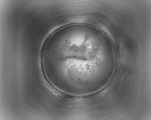 X0000068851035200605051207