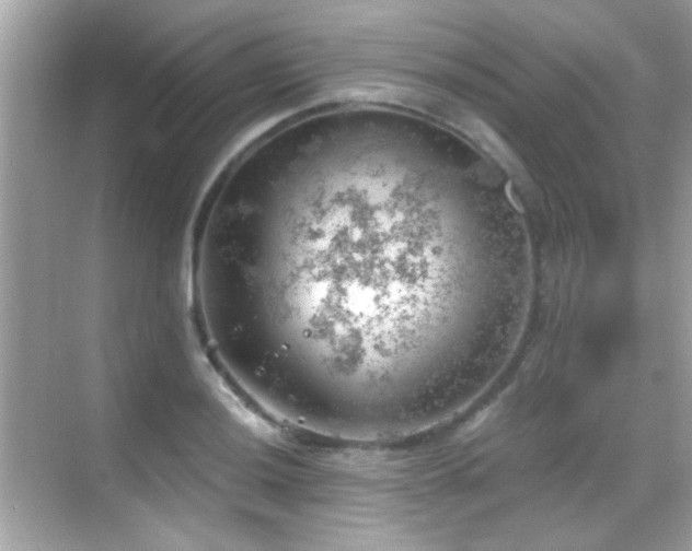 X0000068851036200605051207