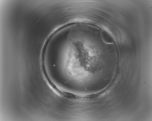 X0000068851037200605051207