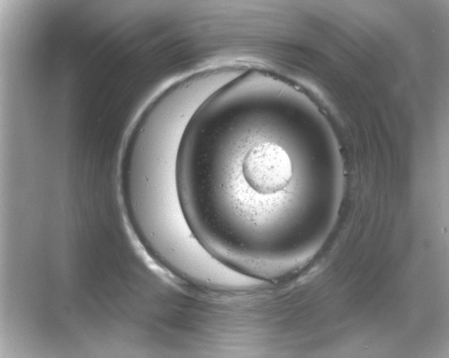 X0000068851038200605051207