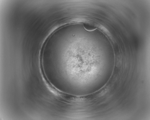 X0000068851039200605051207