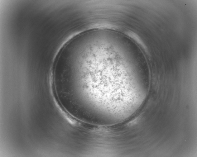 X0000068851040200605051207