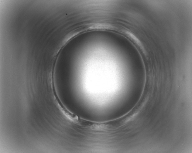 X0000068851041200605051207