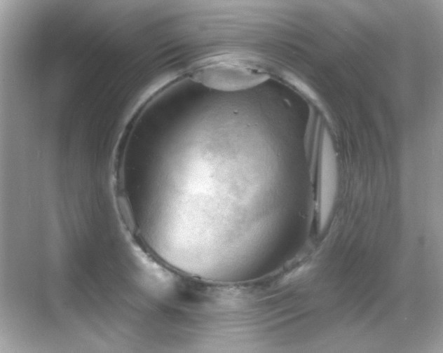 X0000068851042200605051207