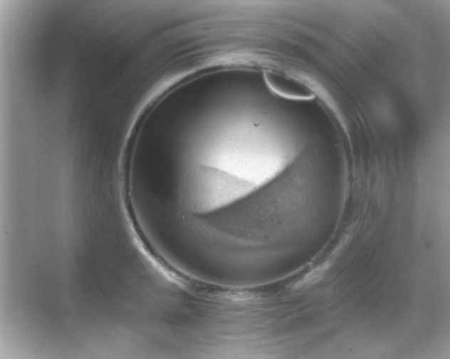 X0000068851045200605051207