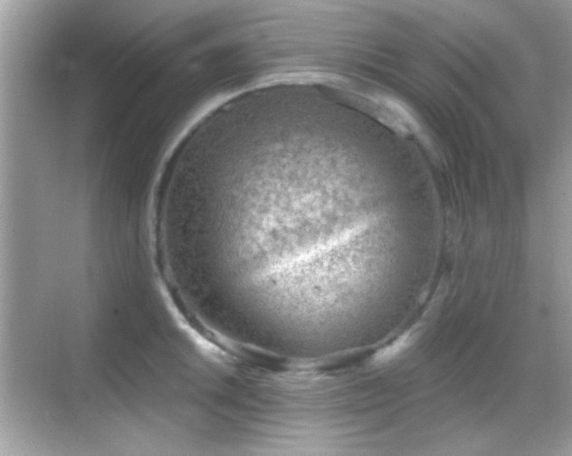 X0000068851046200605051207