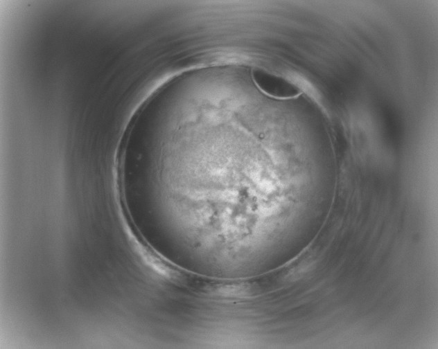 X0000068851047200605051207