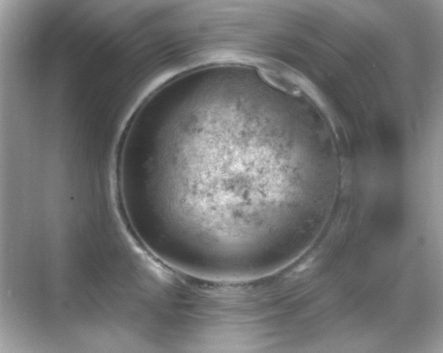 X0000068851048200605051207