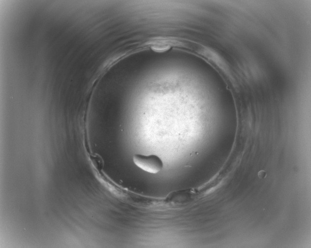 X0000068851049200605051207