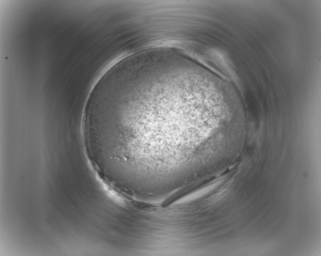 X0000068851050200605051207