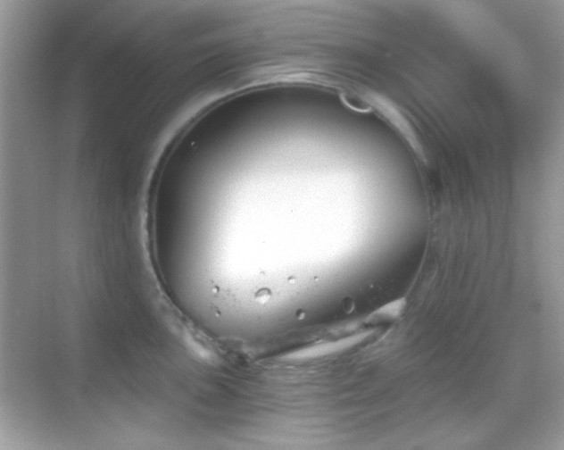 X0000068851051200605051207