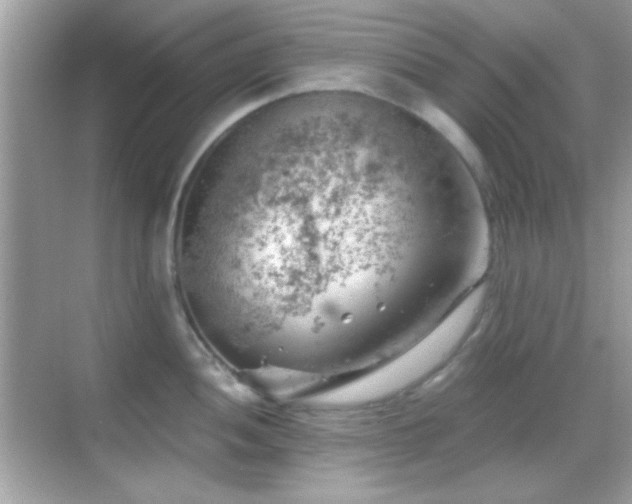 X0000068851052200605051207