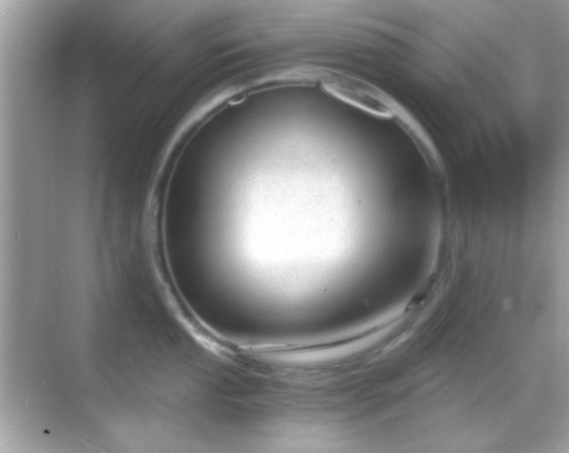 X0000068851053200605051207