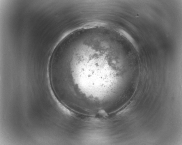 X0000068851055200605051208