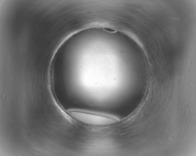 X0000068851056200605051208