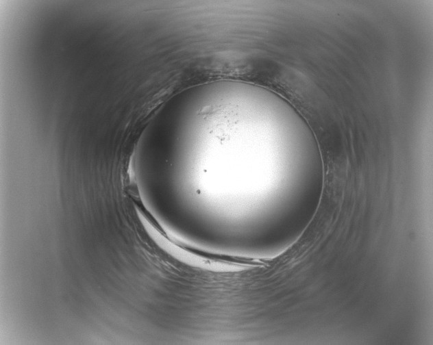 X0000068851058200605051207