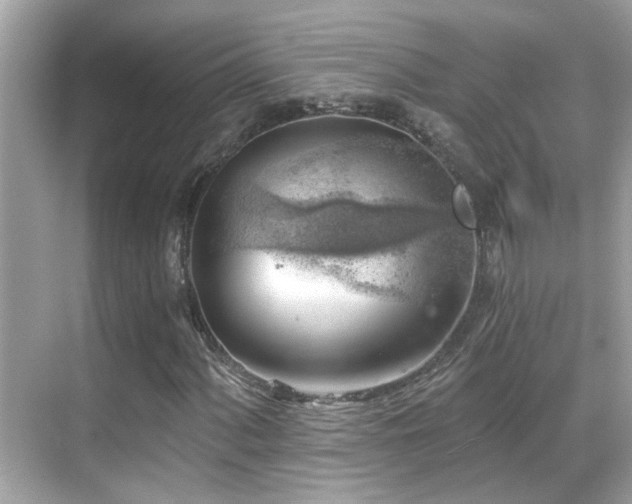 X0000068851060200605051207