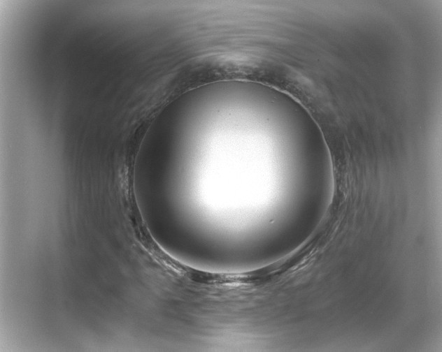 X0000068851061200605051207