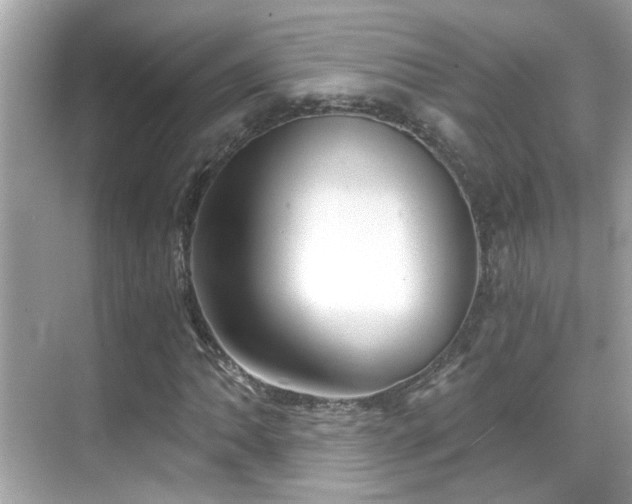 X0000068851062200605051207