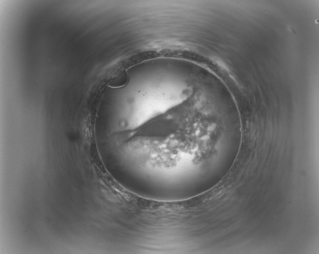 X0000068851063200605051207