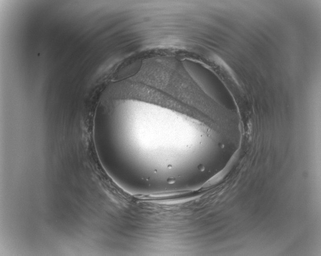 X0000068851064200605051207