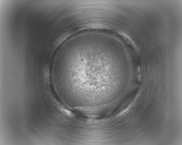 X0000068851065200605051207