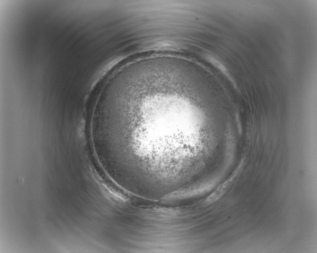 X0000068851066200605051207