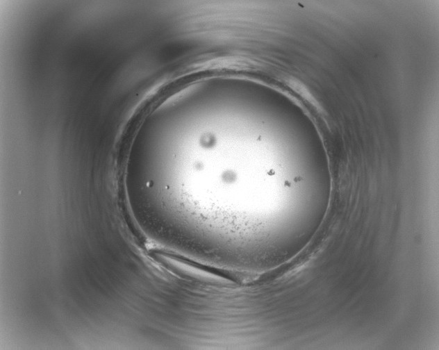 X0000068851067200605051207