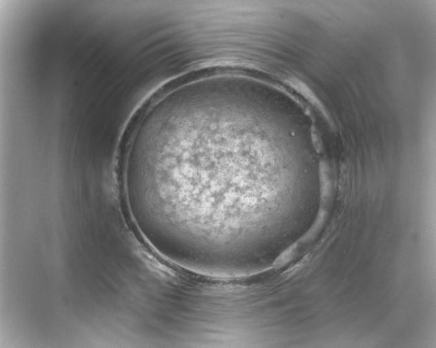 X0000068851068200605051207