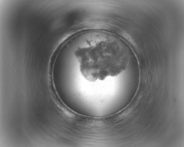 X0000068851071200605051207