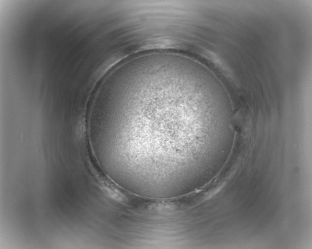 X0000068851073200605051206