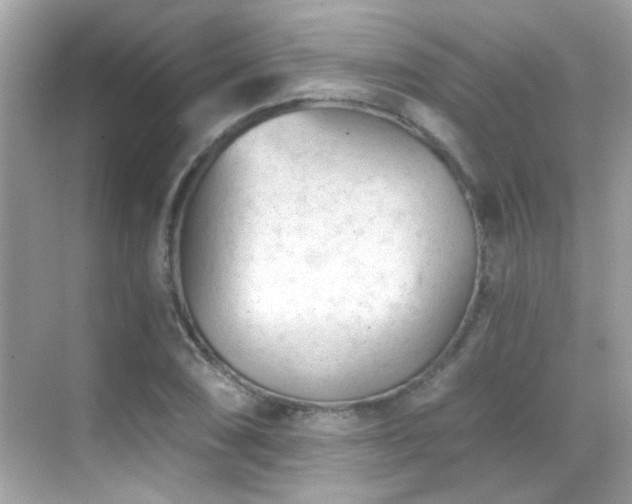 X0000068851074200605051206