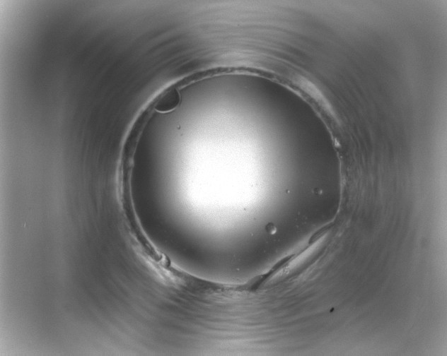 X0000068851076200605051206