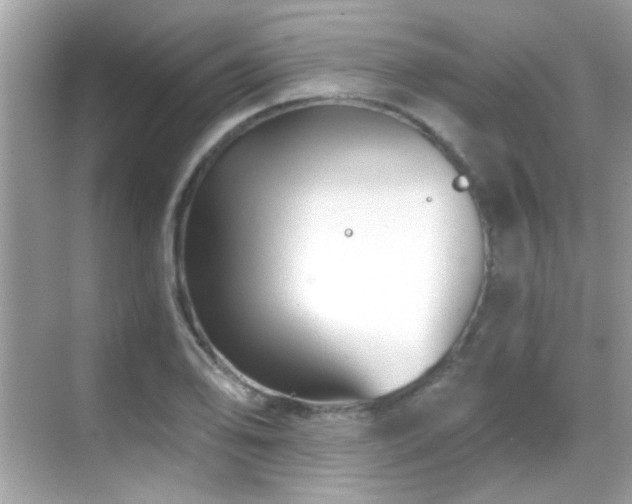 X0000068851078200605051206