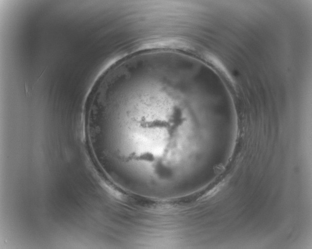 X0000068851079200605051206