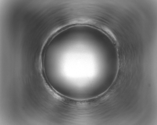 X0000068851080200605051206