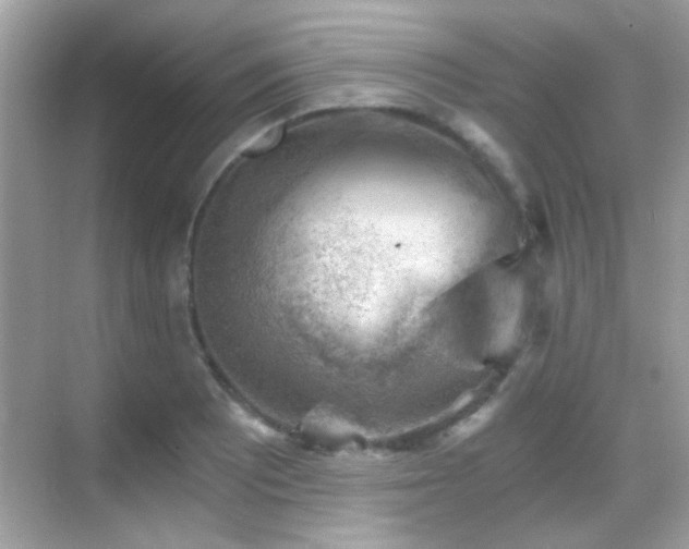 X0000068851081200605051206