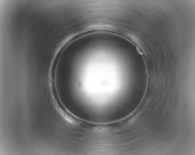 X0000068851082200605051206