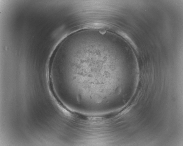 X0000068851083200605051206