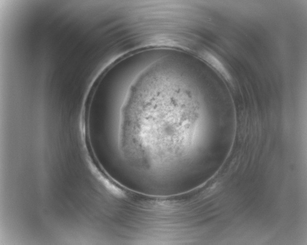 X0000068851084200605051206