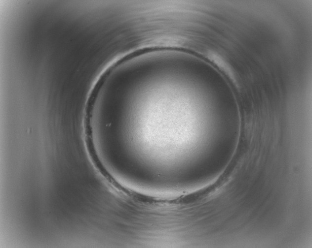 X0000068851085200605051206