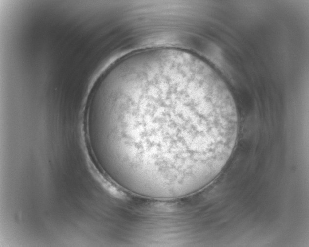 X0000068851086200605051206