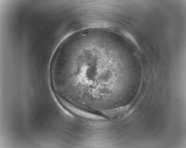 X0000068851087200605051206