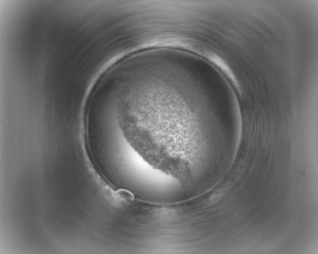 X0000068851088200605051206